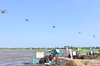 Dàn drone phục vụ nông nghiệp trình diễn tại Festival.