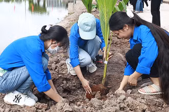 Đoàn viên, thanh niên Ninh Bình thực hiện các công trình tình nguyện trong khuôn khổ Ngày cao điểm.