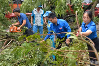Đoàn viên, thanh niên thành phố Hà Nội tình nguyện hỗ trợ lực lượng chức năng khắc phục hậu quả của cơn bão số 3.