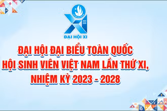Bộ nhận diện Đại hội.