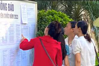 Thí sinh xem thông tin tuyển dụng viên chức tại Hà Nội.