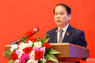 Chủ nhiệm Ủy ban Pháp luật Hoàng Thanh Tùng phát biểu tham luận tại Hội nghị. (Ảnh: Duy Linh)