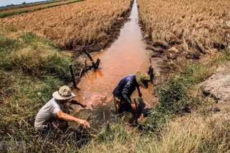 Tăng cường thực hiện các biện pháp phòng, chống nắng nóng, hạn hán, thiếu nước, xâm nhập mặn. (Ảnh minh họa)