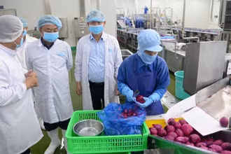 Lãnh đạo Bộ Nông nghiệp và Phát triển nông thôn cùng đoàn công tác đã khảo sát tại Công ty Cổ phần công nghiệp thực phẩm THABICO Tiền Giang.
