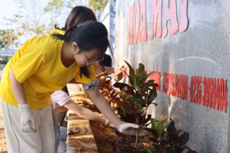 Các em học sinh tham gia trồng cây.