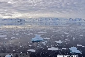 Băng trôi tại Vịnh Chiriguano, quần đảo Nam Shetland, Nam Cực, ngày 7/11/2019. (Ảnh: AFP/TTXVN)