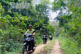 Lực lượng Kiểm lâm và quản lý, bảo vệ rừng Khu Bảo tồn thiên nhiên Ea Sô tuần tra, bảo vệ rừng.