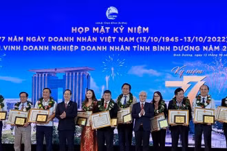 Lãnh đạo tỉnh Bình Dương trao Bằng khen cho doanh nghiệp và doanh nhân.