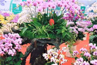Rộn ràng không khí Tết từ những đường hoa tại Bắc Ninh.
