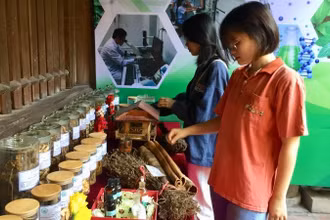 Khách tham quan tìm hiểu trưng bày về các bài thuốc nam, các cây thuốc có ở quanh ta.