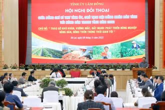 Bí thư Tỉnh ủy Lâm Đồng Trần Đức Quận phát biểu ý kiến tại Hội nghị.