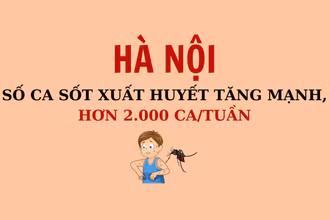 [Infographic] Số ca sốt xuất huyết tăng mạnh, hơn 2.000 ca/tuần