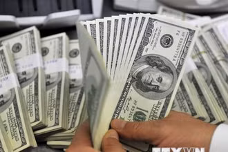 Nhân viên kiểm đồng USD tại một ngân hàng. (Ảnh: AFP/TTXVN)