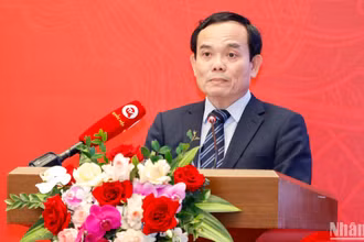 Phó Thủ tướng Chính phủ Trần Lưu Quang phát biểu tại Hội nghị. (Ảnh: Duy Linh)