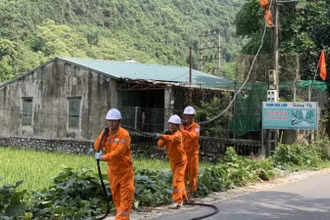 Công ty Điện lực Thái Nguyên sửa chữa, thay thế đường dây khi không bảo đảm cấp điện an toàn, ổn định.