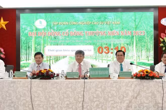 Đoàn Chủ tịch VRG điều hành đại hội.
