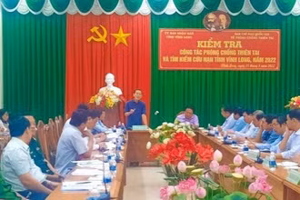 Thứ trưởng Kế hoạch và Đầu tư Võ Thành Thống phát biểu tại buổi làm việc với tỉnh Vĩnh Long. (Ảnh: BÁ DŨNG)