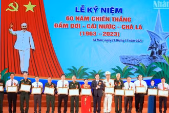 Chủ tịch Ủy ban nhân dân tỉnh Cà Mau tặng Bằng khen cho 2 tập thể và 13 cá nhân có đóng góp tích cực tư liệu, hiện vật… về Chiến thắng Đầm Dơi-Cái Nước-Chà Là.