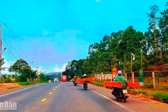 Xe máy nối đuôi nhau chở gỗ trái phép trên quốc lộ 14, đoạn qua thị trấn Đức An, huyện Đắk Song, tỉnh Đắk Nông.