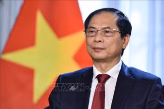 Bộ trưởng Ngoại giao Bùi Thanh Sơn. (Ảnh tư liệu: TTXVN)