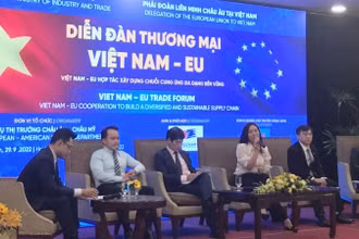 Các đại biểu tham gia một phiên thảo luận.