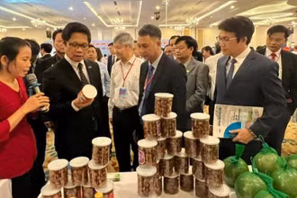 Các đại biểu tham quan sản phẩm của các doanh nghiệp tỉnh Bến Tre và thành phố Thủ Đức.