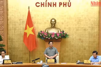 Theo dõi chặt tình hình thế giới, phản ứng chính sách kịp thời, linh hoạt, hiệu quả
