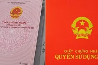 Ảnh minh họa.