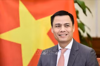 Đại sứ Đặng Hoàng Giang, Trưởng Phái đoàn Thường trực Việt Nam tại Liên hợp quốc (LHQ). (Ảnh: TTXVN phát)