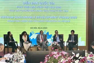 Các chuyên gia thảo luận tại Diễn đàn quốc gia về phát triển bền vững Việt Nam 2023.