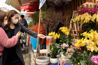 Người dân Hà Nội rục rịch mua sắm hoa, cây cảnh Tết.