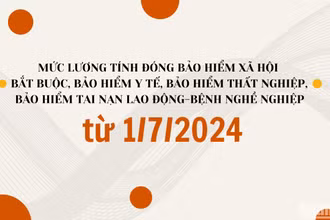 [Infographic] Mức lương tính đóng bảo hiểm xã hội bắt buộc, bảo hiểm y tế, bảo hiểm thất nghiệp từ 1/7/2024