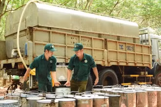 Công nhân khai thác mủ tại Công ty Cao-su Bà Rịa.