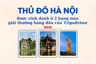 [Infographic] Tripadvisor vinh danh Hà Nội ở hai hạng mục hàng đầu