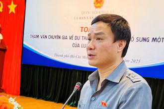 Phó Chủ nhiệm Ủy ban Văn hóa và xã hội Triệu Thế Hùng phát biểu tại Tọa đàm.
