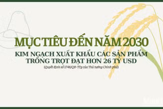 [Infographic] Kim ngạch xuất khẩu các sản phẩm trồng trọt hướng đến mục tiêu 26 tỷ USD
