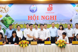 Đại diện Saigon Co.op ký kết hợp tác với các doanh nghiệp tỉnh Tây Ninh.
