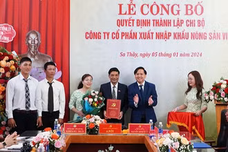 Trao Quyết định về công tác tổ chức, cán bộ tại Chi bộ Công ty Cổ phần Xuất nhập khẩu Nông sản Vina