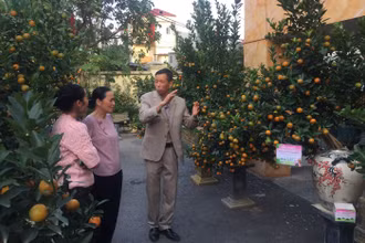 Khách tham quan đến với các tác phẩm tham gia Hội thi. 