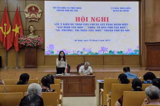 Các đại biểu đóng góp ý kiến về tiêu chí xét tặng các danh hiệu văn hóa.