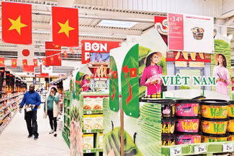 Hàng Việt Nam trưng bày tại siêu thị Carrefour ở Pháp. (Ảnh MINH DUY)