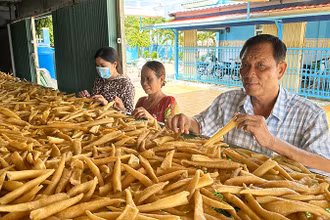 Thương binh Trần Văn Khi hướng dẫn lao động dân tộc Khmer cách chế biến đặc sản bong bóng cá biển. (Ảnh NGUYỄN PHONG)