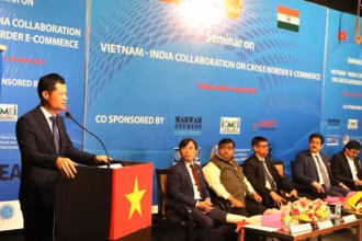 Ông Đỗ Quốc Hưng - Phó Vụ trưởng Vụ Phát triển thị trường nước ngoài, thuộc Bộ Công Thương, phát biểu khai mạc một hội thảo tại Ấn Độ. (Ảnh: TTXVN)