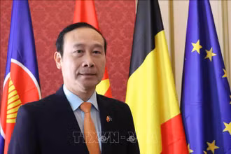 Đại sứ Nguyễn Văn Thảo. 