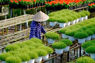 Du lịch gắn với nông thôn mới, nâng cao thu nhập người dân