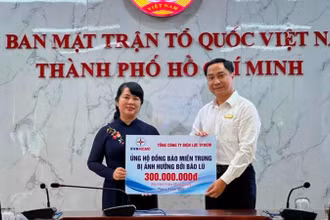 Đại diện Tổng Công ty Điện lực Thành phố Hồ Chí Minh trao 300 triệu đồng ủng hộ đồng bào miền trung gặp khó khăn do cơn bão số 4 gây ra.