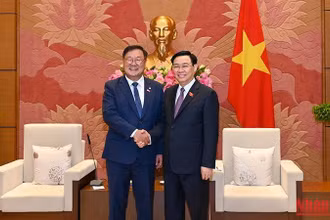 Chủ tịch Quốc hội Vương Đình Huệ và Chủ tịch nhóm Nghị sĩ hữu nghị Hàn Quốc-Việt Nam Kim Tae-nyeon tại buổi tiếp. (Ảnh: DUY LINH)