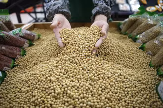 Ảnh minh họa. (Nguồn: Reuters)
