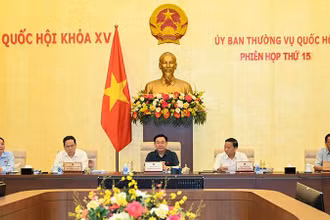 Phiên họp thứ 15 Ủy ban Thường vụ Quốc hội. (Ảnh: DUY LINH)
