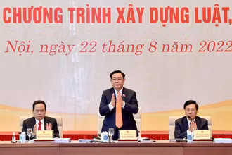 [Ảnh] Hội nghị triển khai chương trình xây dựng luật, pháp lệnh